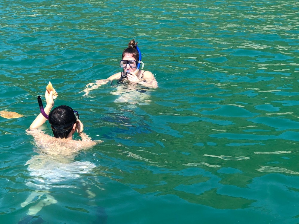 8DAD0DA1-66E0-4965-AF12-67BBFF674C5E